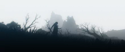 Silhouetted Baal (Raiden Shogun) from Genshin Impact stands in a misty field amid gnarled trees with a distant shrine; dark, atmospheric 2K Quad HD PC desktop wallpaper/background, video game art.