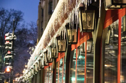  Icicles along Connecticut Ave. NW, Van Ness, DC by Diane Krauthamer