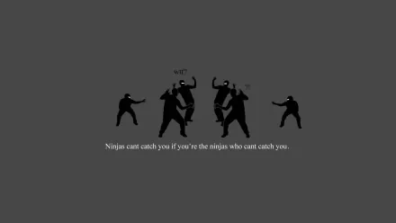 funny ninja HD Desktop Wallpaper | Background Image
