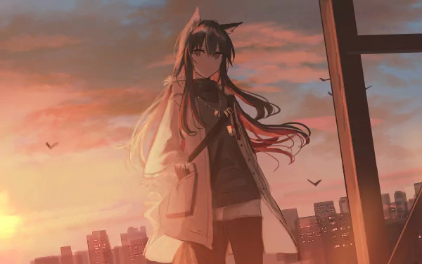 Texas (Arknights) on a rooftop at sunset, coat and hair blowing, city skyline and birds behind — Arknights video game 2K Quad HD PC desktop wallpaper/background.