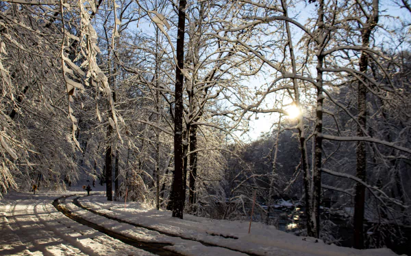5K Ultra HD PC desktop wallpaper and background: winter sunset over a snow-covered forest and winding road, sun filtering through bare, ice-glazed trees.
