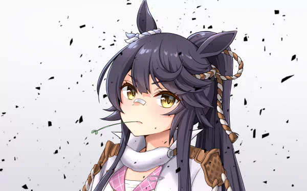 Narita Brian Anime Uma Musume: Pretty Derby HD Desktop Wallpaper | Background Image