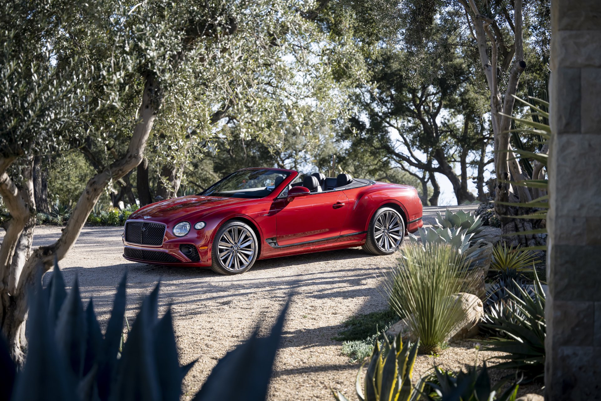 Download Cabriolet Vehicle Bentley Continental GT Speed 8k Ultra HD Wallpaper