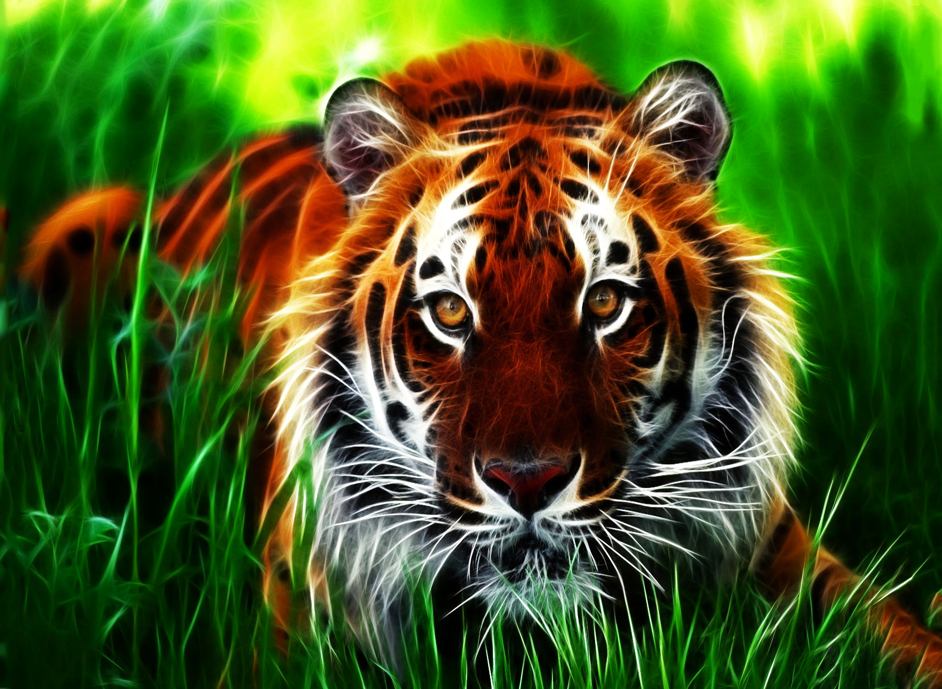 A striking HD desktop wallpaper featuring a tiger with intense eyes, lying in vibrant green grass. The rich colors and detailed texture make the image visually captivating and dynamic.