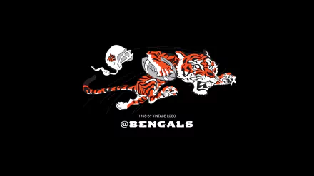 Cincinnati Bengals Sports HD Desktop Wallpaper | Background Image