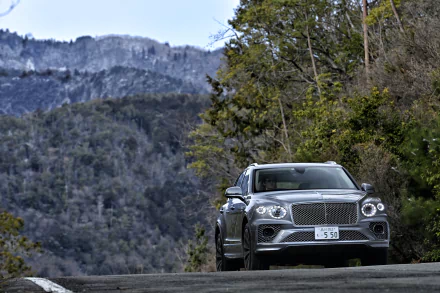 SUV Bentley Bentayga V8 vehicle Bentley Bentayga HD Desktop Wallpaper | Background Image