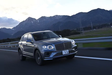 SUV Bentley Bentayga V8 vehicle Bentley Bentayga HD Desktop Wallpaper | Background Image