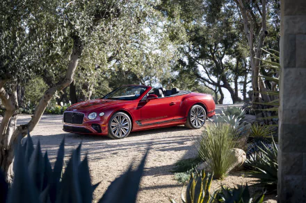 cabriolet vehicle Bentley Continental GT Speed HD Desktop Wallpaper | Background Image