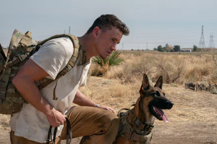 Channing Tatum movie dog HD Desktop Wallpaper | Background Image