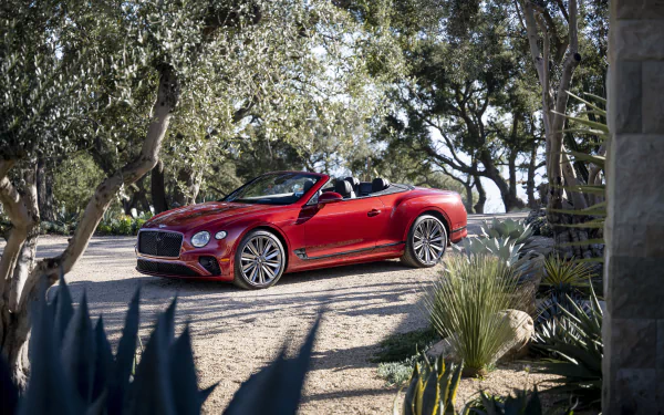 cabriolet vehicle Bentley Continental GT Speed HD Desktop Wallpaper | Background Image