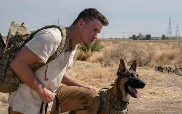 Channing Tatum movie dog HD Desktop Wallpaper | Background Image