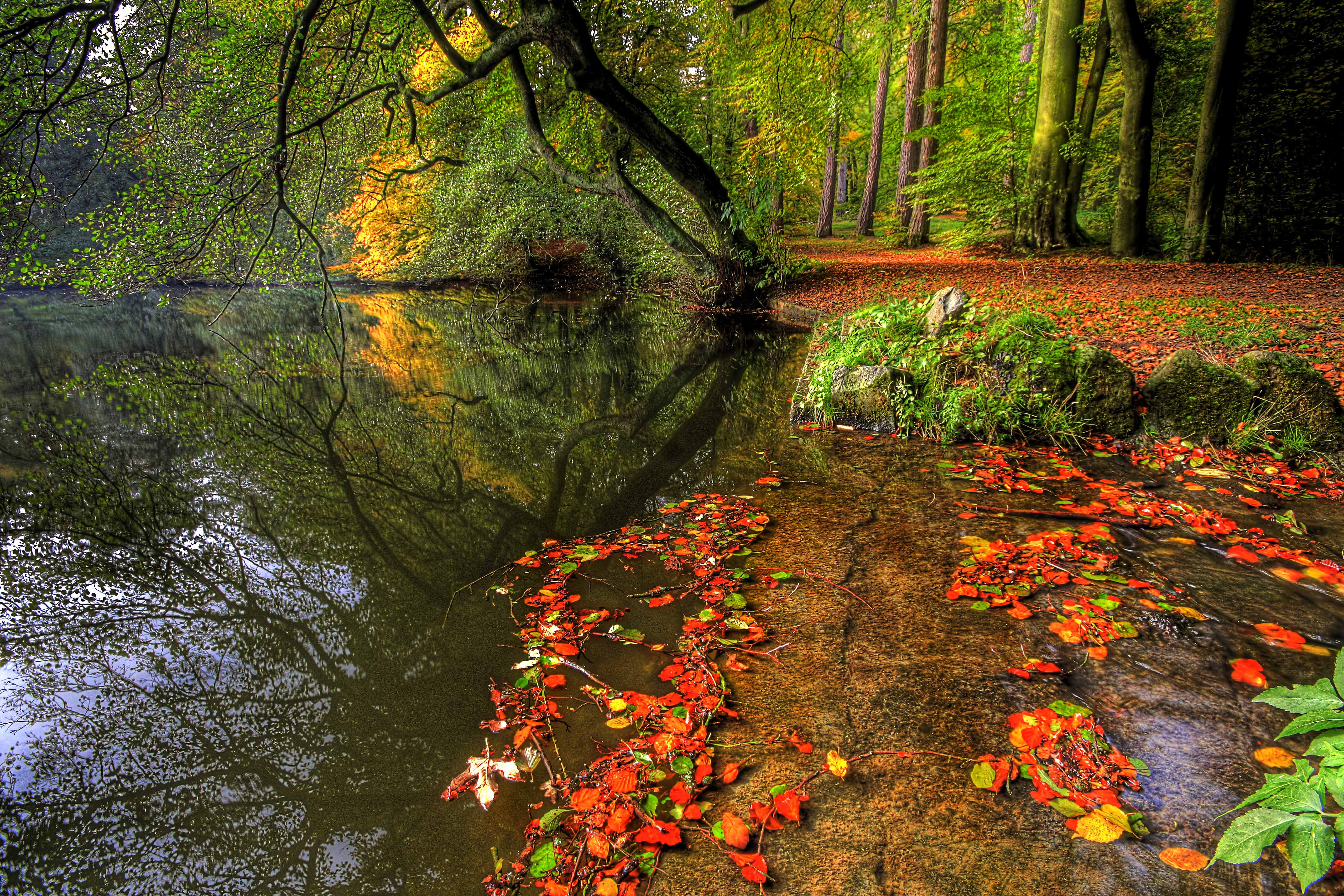 Download Nature Lake 4k Ultra HD Wallpaper