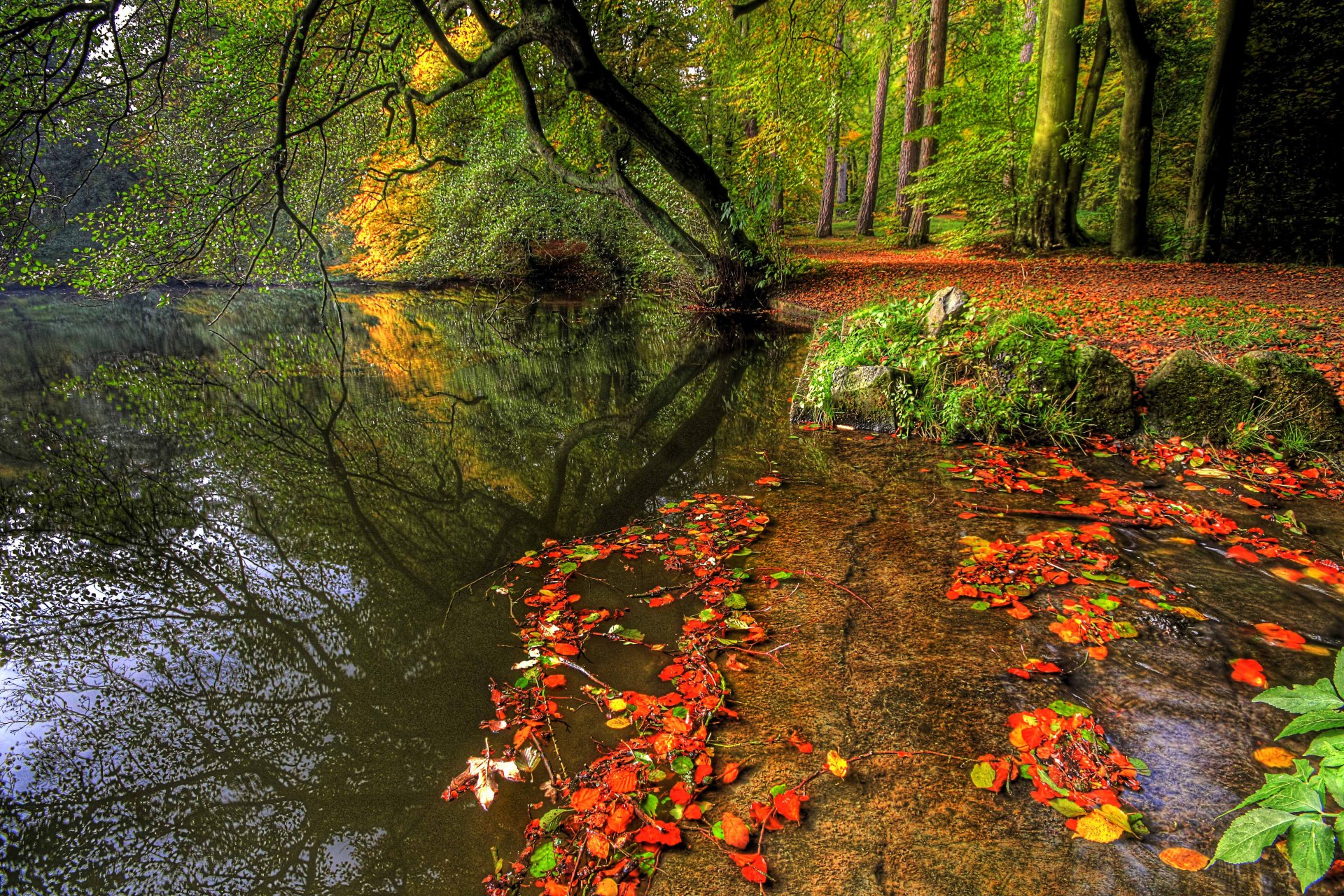 4K Ultra HD PC desktop wallpaper showcasing a serene lake surrounded by lush green trees and vibrant autumn leaves floating on the water's edge in a peaceful natural setting.