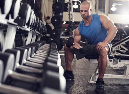 gym bodybuilding Sports HD Desktop Wallpaper | Background Image