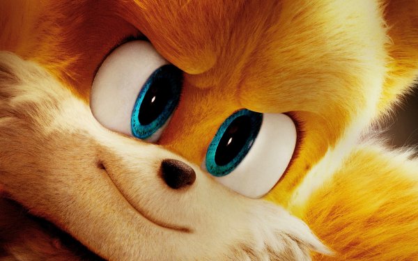 Movie Sonic the Hedgehog 2 Sonic Miles 'Tails' Prower HD Wallpaper | Background Image