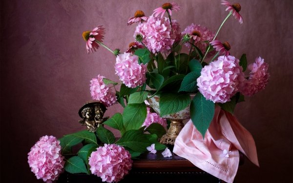 Photography Still Life Hydrangea Echinacea HD Wallpaper | Background Image