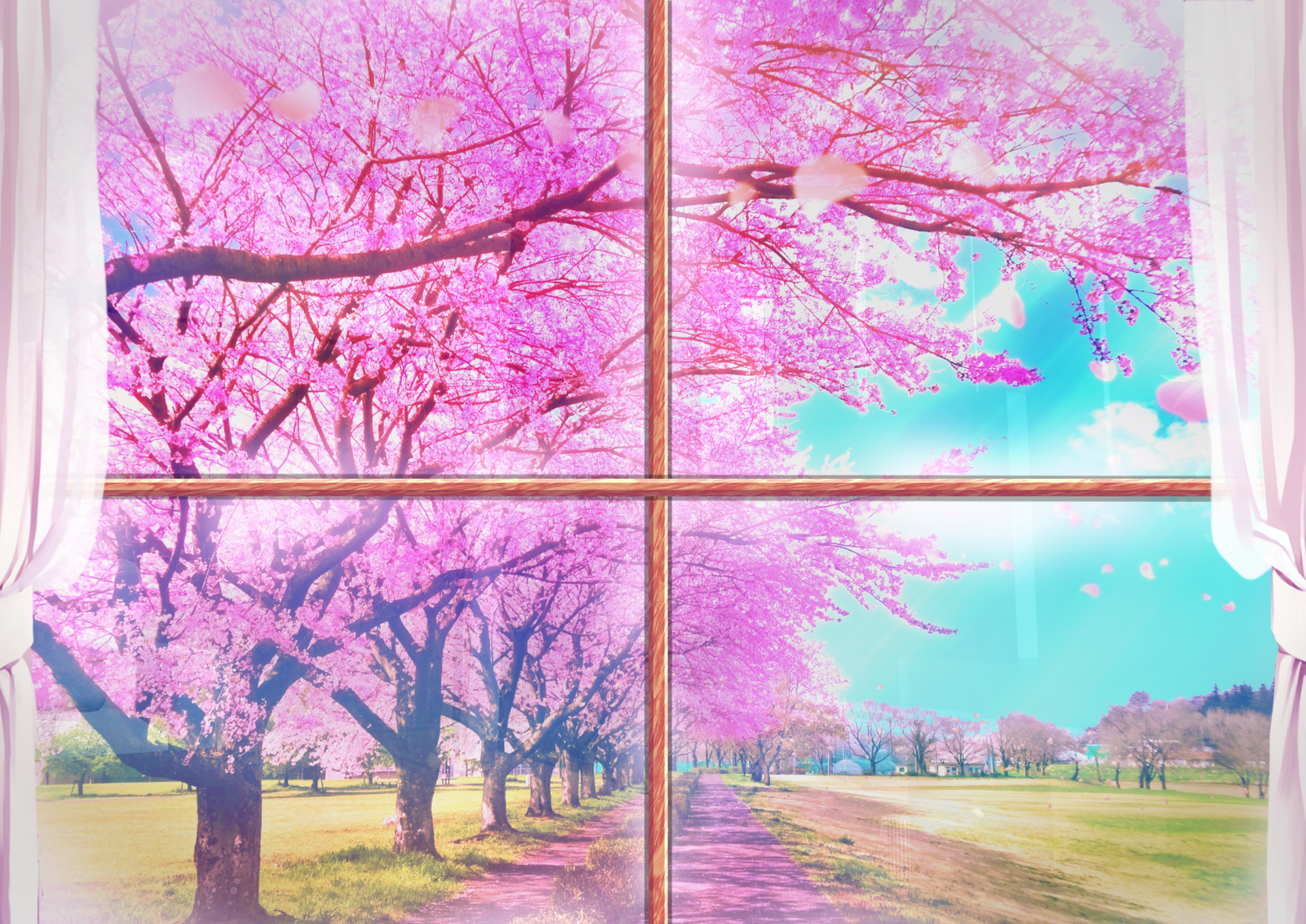 Anime Sakura HD Wallpaper