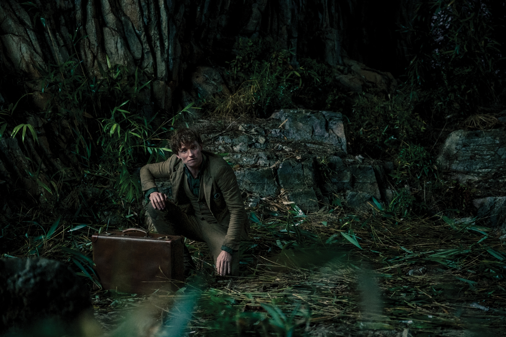 Movie Fantastic Beasts: The Secrets of Dumbledore HD Wallpaper | Background Image