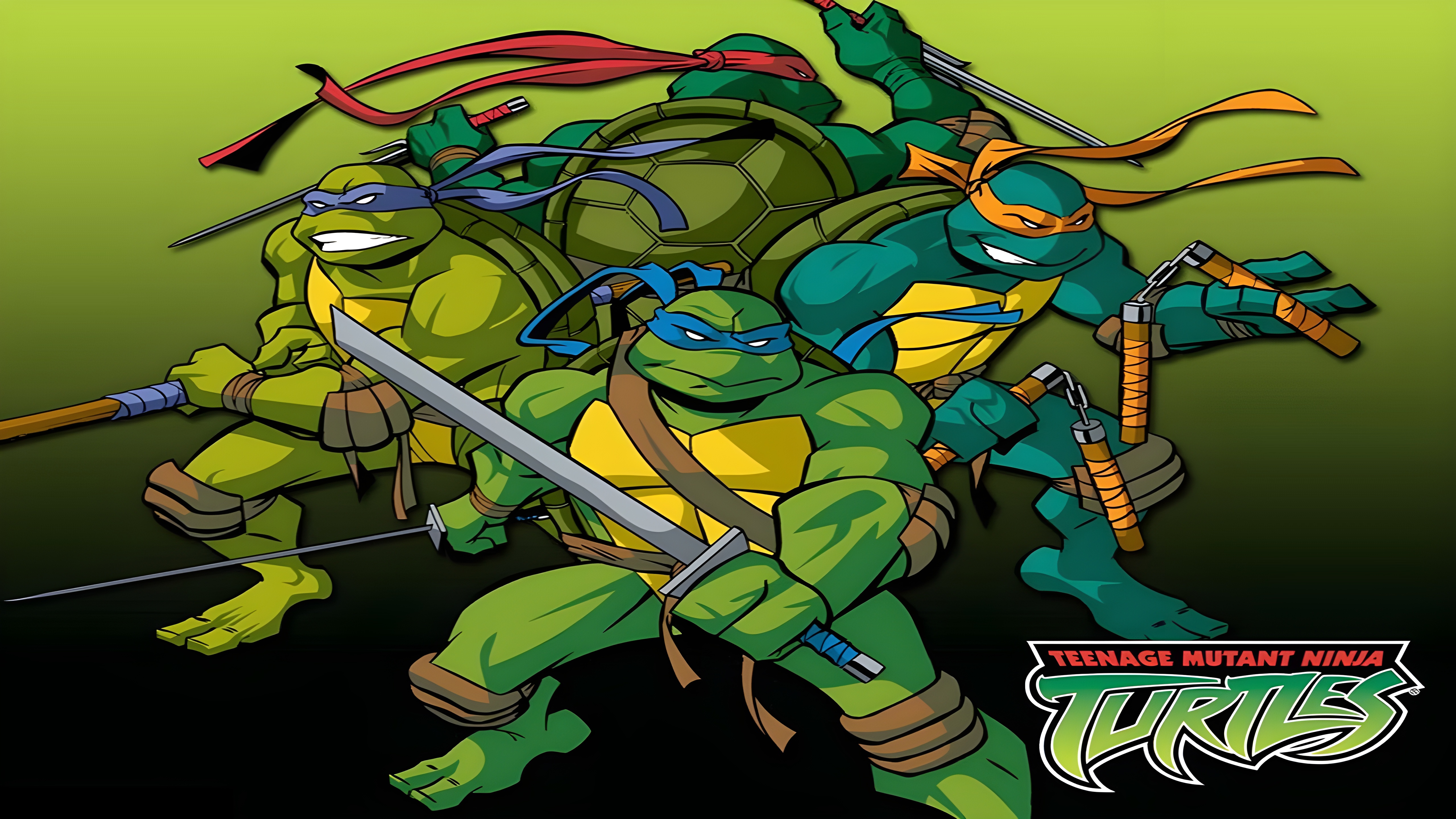 TV Show Teenage Mutant Ninja Turtles (2003) HD Wallpaper | Background Image