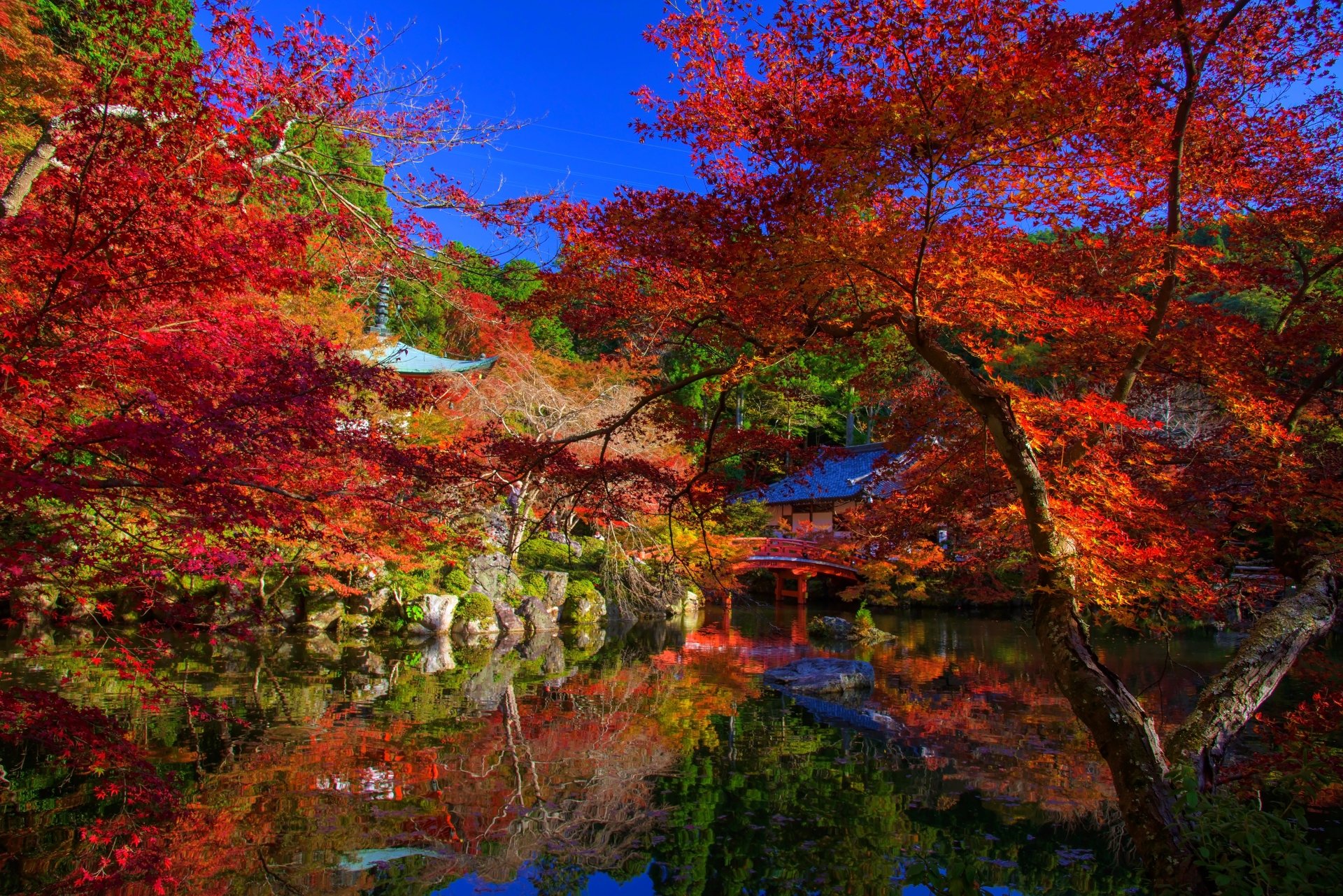 Man Made Japanese Garden 4k Ultra HD Wallpaper