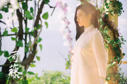 Si Teng TV Show Rattan HD Desktop Wallpaper | Background Image