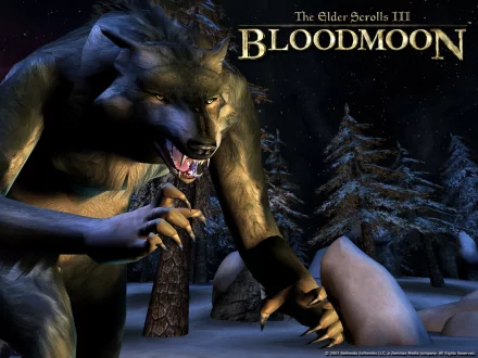 werewolf video game The Elder Scrolls III: Bloodmoon HD Desktop Wallpaper | Background Image