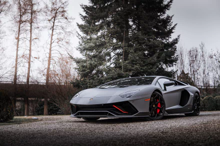 vehicle Lamborghini Aventador LP 780-4 Ultimae HD Desktop Wallpaper | Background Image