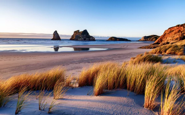 New Zealand photography beach HD Desktop Wallpaper | Background Image