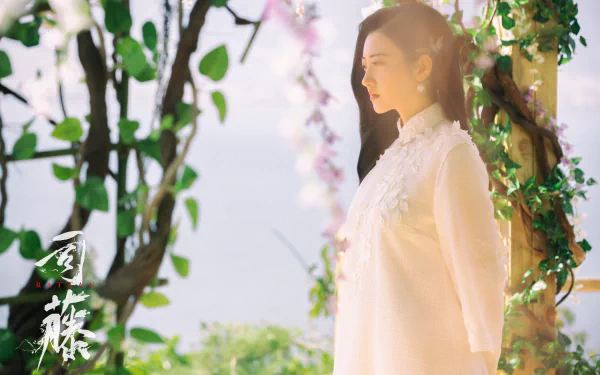 Si Teng TV Show Rattan HD Desktop Wallpaper | Background Image