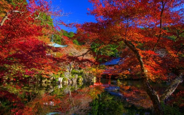 Man Made Japanese Garden Reflection HD Wallpaper | Background Image