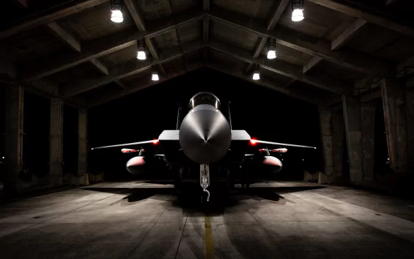  UNITED STATES AIR FORCE - F-15