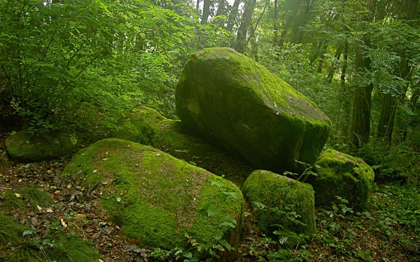 nature rock HD Desktop Wallpaper | Background Image