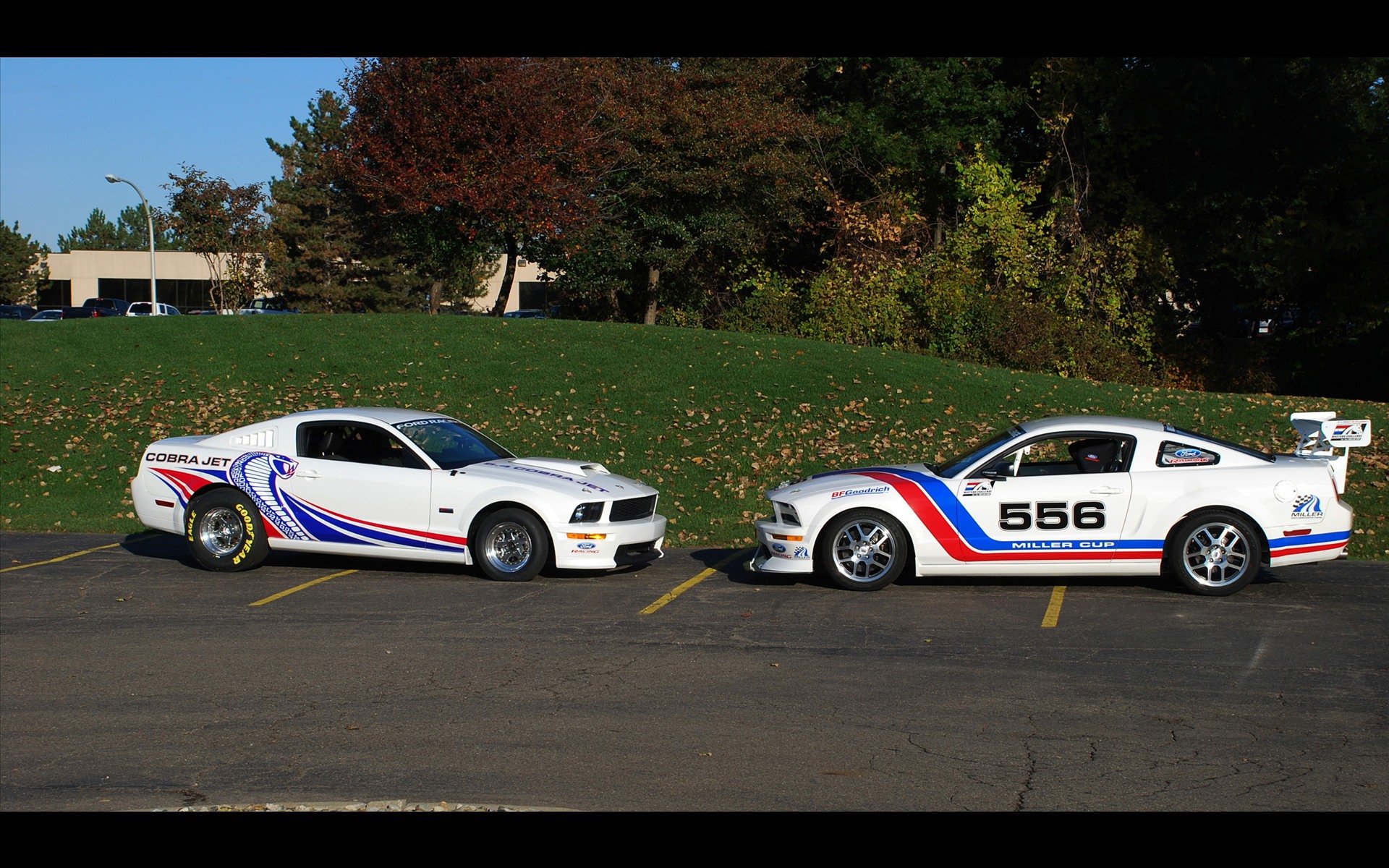 Download Vehicle Ford Mustang Cobra Jet HD Wallpaper