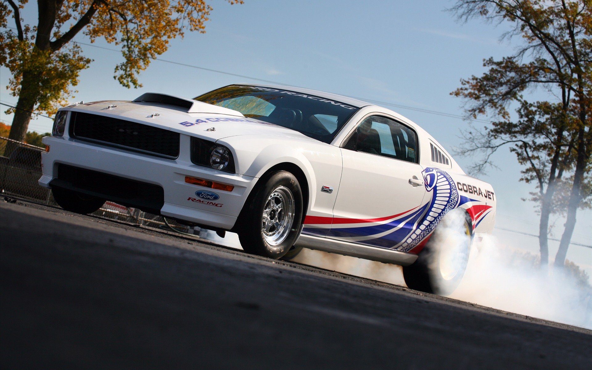 Download Vehicle Ford Mustang Cobra Jet HD Wallpaper