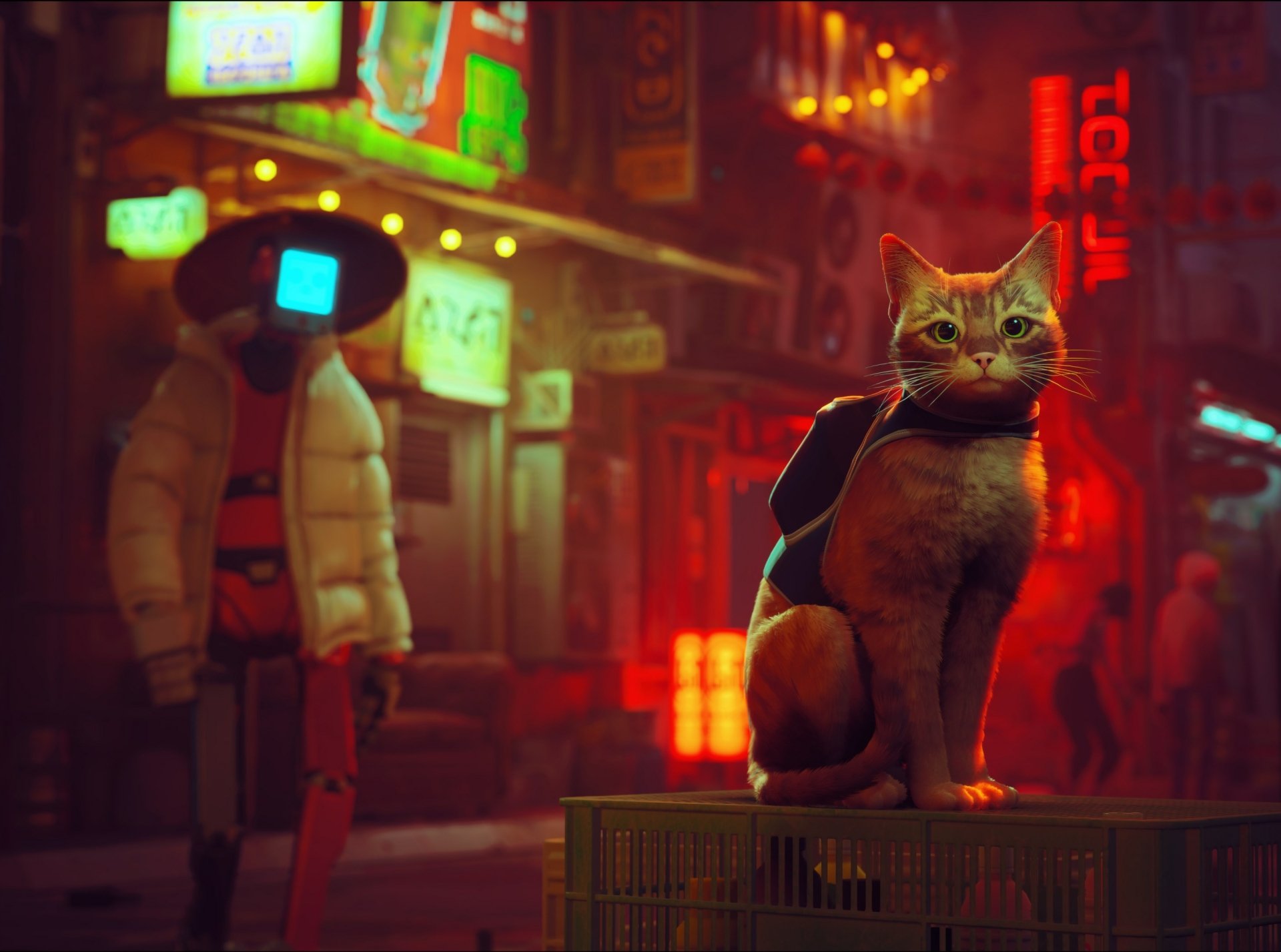 HD PC desktop wallpaper featuring a scene from the video game Stray, showcasing a cat with a backpack in a neon-lit urban environment.
