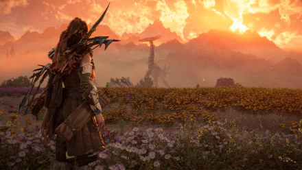 Aloy (Horizon Forbidden West) stands in a wildflower field at sunset, watching a distant Tallneck against mountain peaks — 4K Ultra HD PC video game desktop wallpaper.