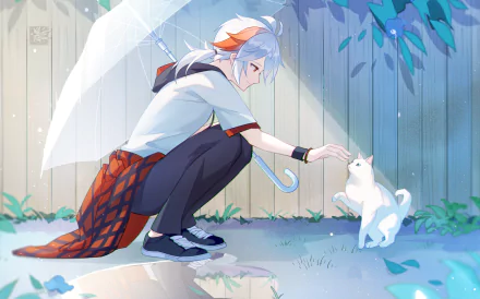 Kaedehara Kazuha (Genshin Impact) crouches under a translucent umbrella, petting a white cat by a fence — HD PC desktop wallpaper and background from the video game Genshin Impact.