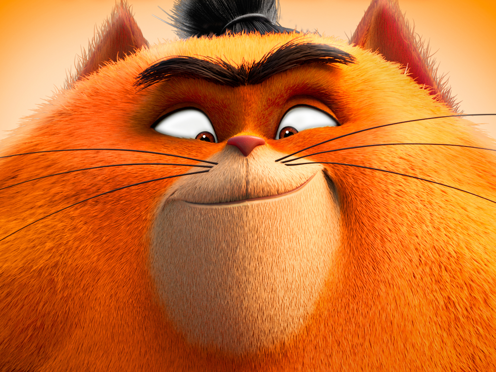 Download Movie Paws Of Fury: The Legend Of Hank HD Wallpaper