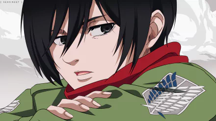 Mikasa Ackerman Anime Attack on Titan HD Desktop Wallpaper | Background Image