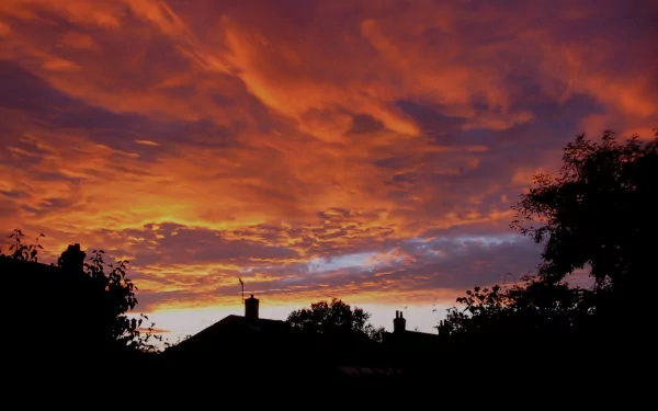 nature sunset HD Desktop Wallpaper | Background Image