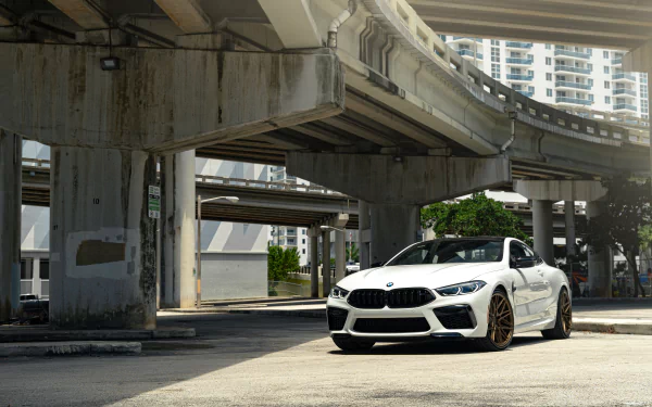 vehicle BMW M8 HD Desktop Wallpaper | Background Image