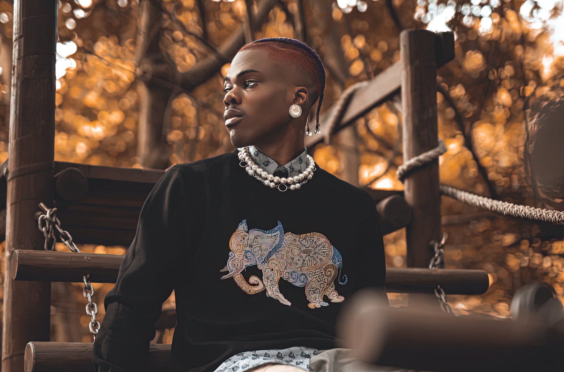 A stylish individual wearing a black sweater with an elephant design, adorned with pearls, poses on a swing under warm autumn foliage, embodying a captivating music-inspired vibe.
