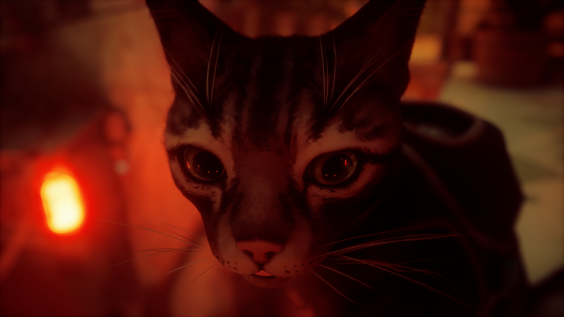 Download Video Game Stray 8k Ultra HD Wallpaper