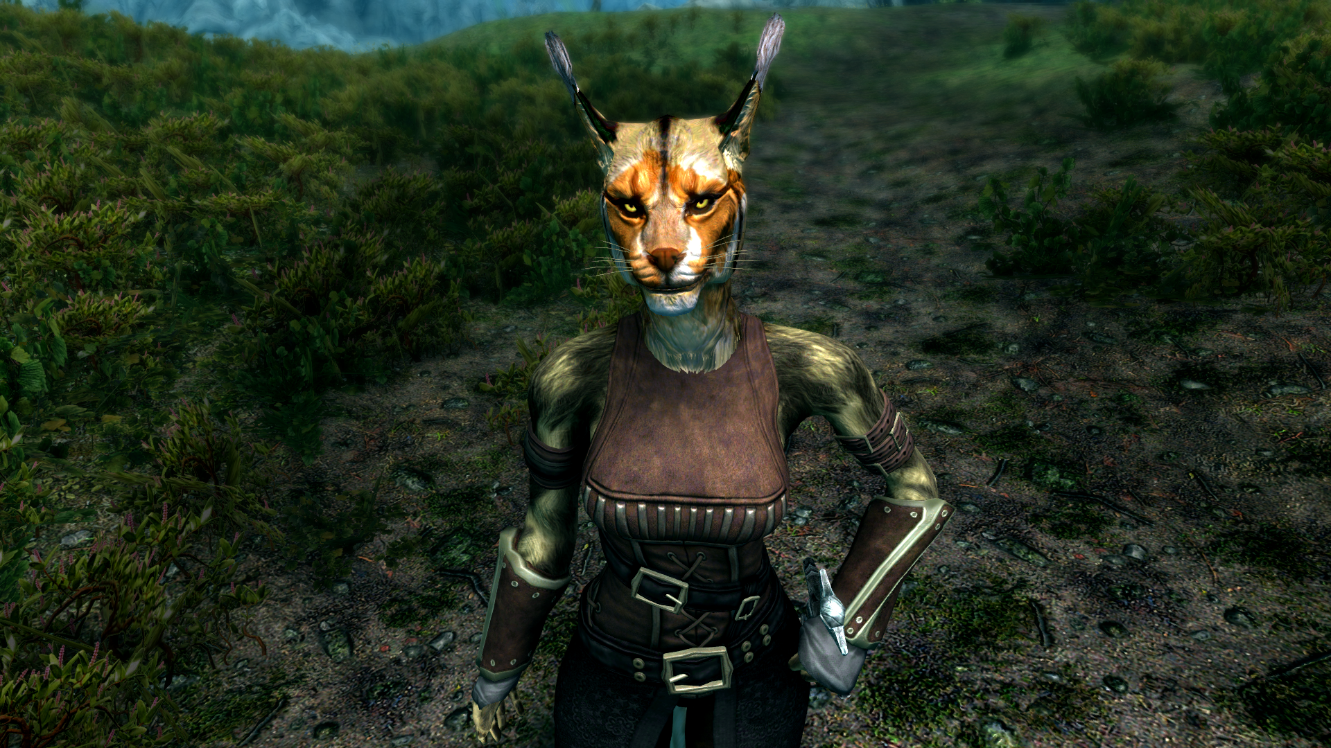 Female Khajiit in Skyrim by Michael Moraes