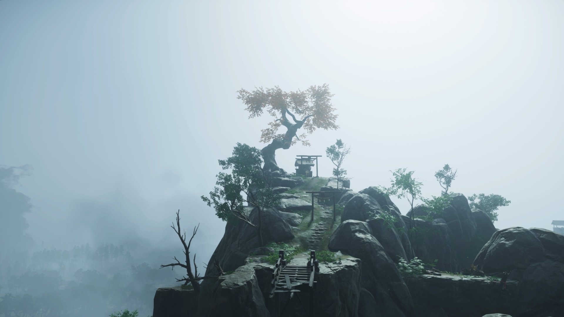 Download PlayStation 5 Video Game Ghost Of Tsushima 4k Ultra HD Wallpaper