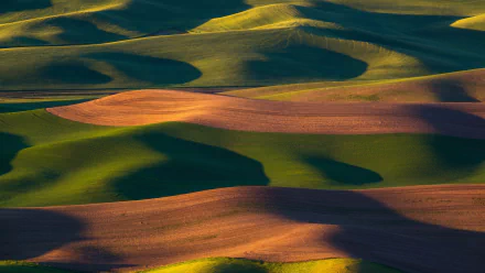 grassland nature landscape HD Desktop Wallpaper | Background Image