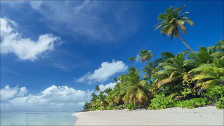Seychelles nature beach HD Desktop Wallpaper | Background Image
