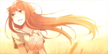 HD PC desktop wallpaper featuring an anime-style illustration from Spice and Wolf, showing a girl with long flowing hair bathed in warm, golden light.