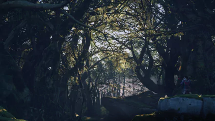 PlayStation 5 video game Ghost of Tsushima HD Desktop Wallpaper | Background Image