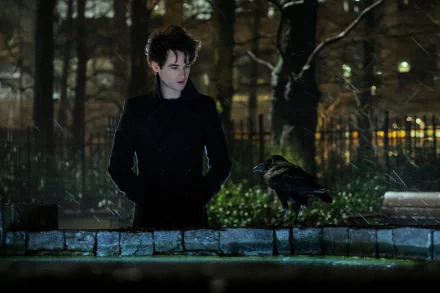 HD PC desktop wallpaper from the TV show The Sandman — a brooding figure in a dark coat stands by a stone wall at night with a raven and blurred city lights behind.